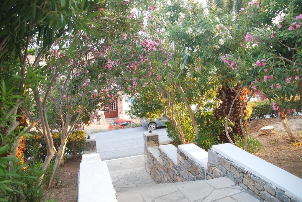 Agia Paraskevi  Anthemis Hotel Apartments מראה חיצוני תמונה